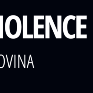 Violence Within State Borders: Bosnia and Herzegovina